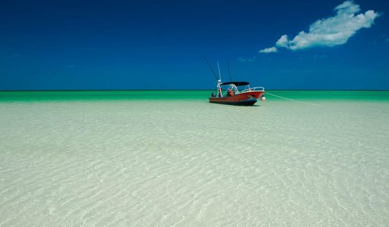 Visita esta isla paradisiaca en México… Holbox