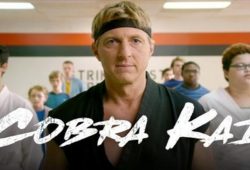 Cobra Kai, una serie que te lleva a la nostalgia