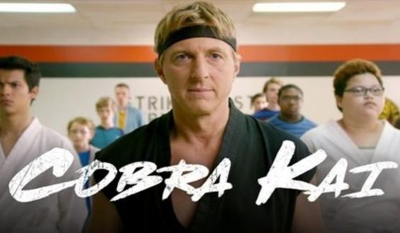 Cobra Kai, una serie que te lleva a la nostalgia