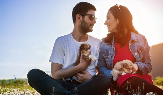 Los perros que más te ayudarán a ligar