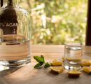 5 mezcales que debes de probar