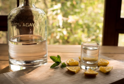 5 mezcales que debes de probar