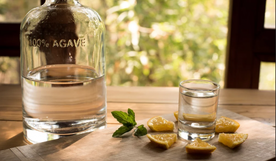 5 mezcales que debes de probar